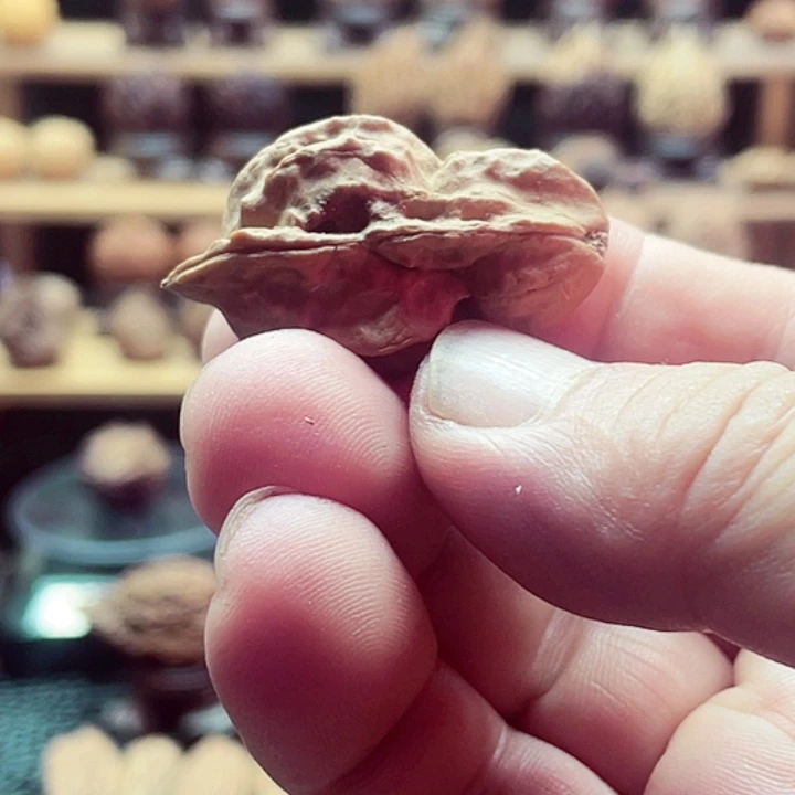吊坠猴头核桃东北核桃13
