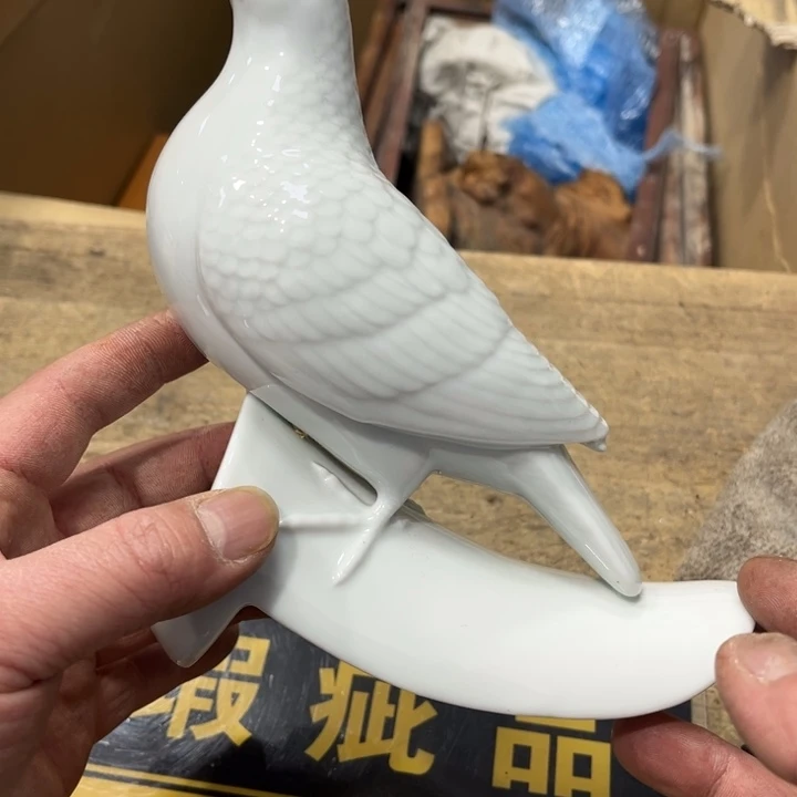 碟壶**喝哈哈哈哈hahahaha