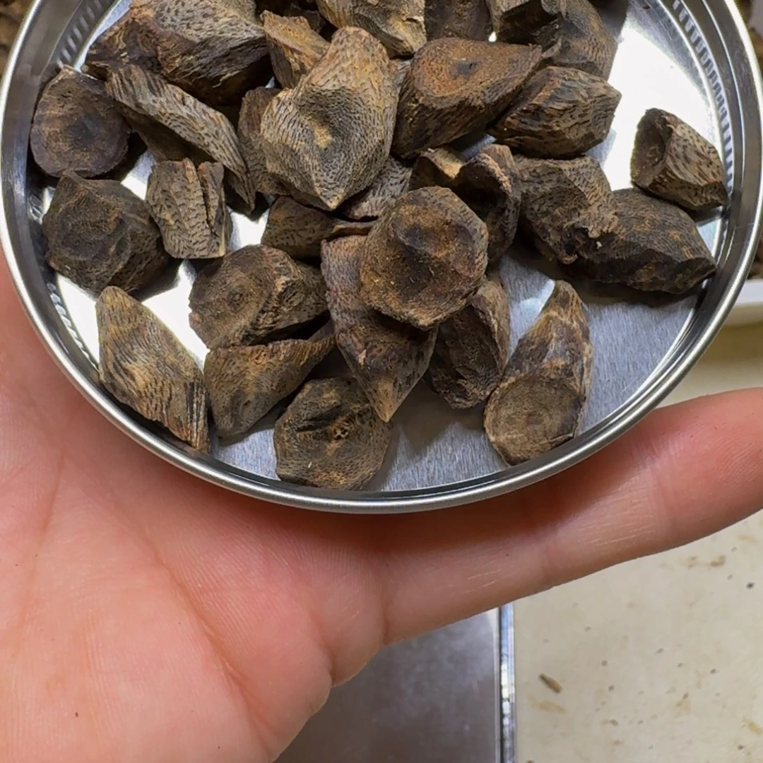 无***极沉香碎屑沉香奇楠沉香树丁25克