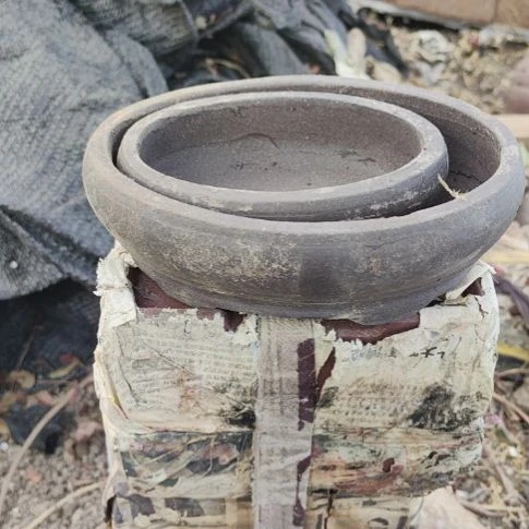 完全开放花盆大点声卡