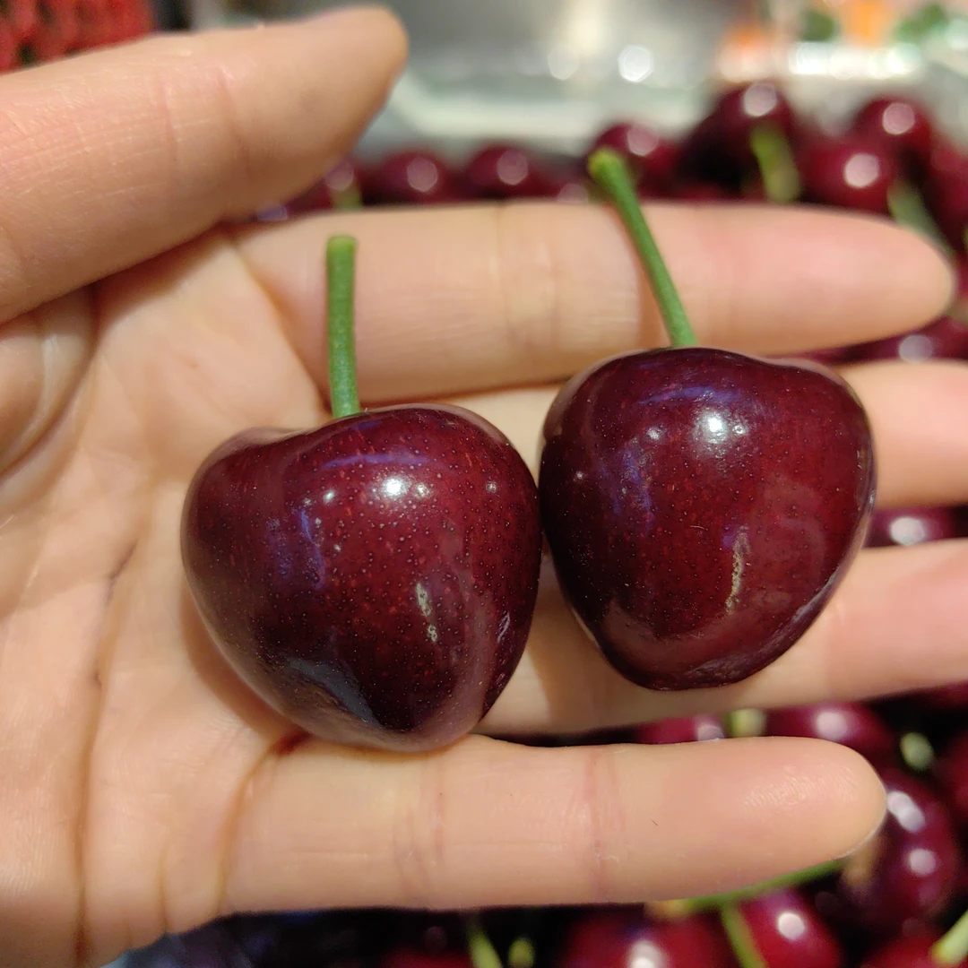 美枣樱桃1号2J（水晶盒）g美早