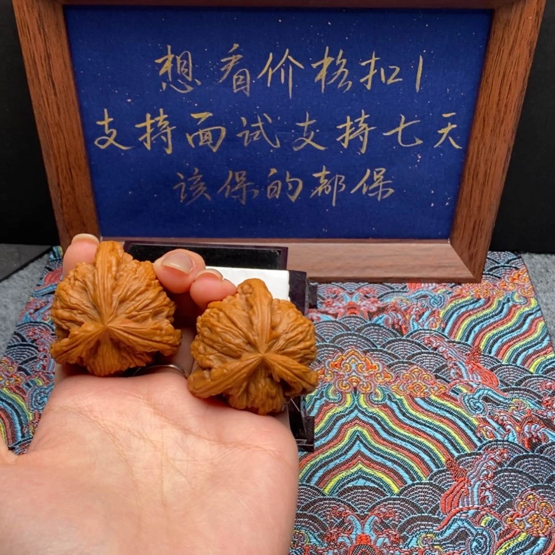 【闪购商品】m白狮