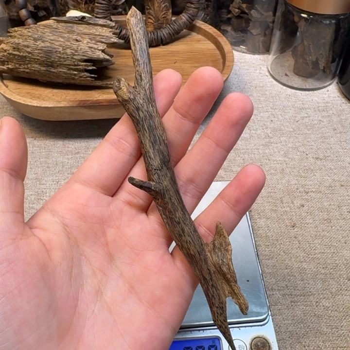 沉香碎屑沉香「***」海南天然虫漏香老料8.7克