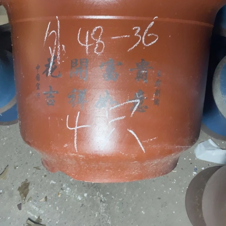 学生真实真实真实