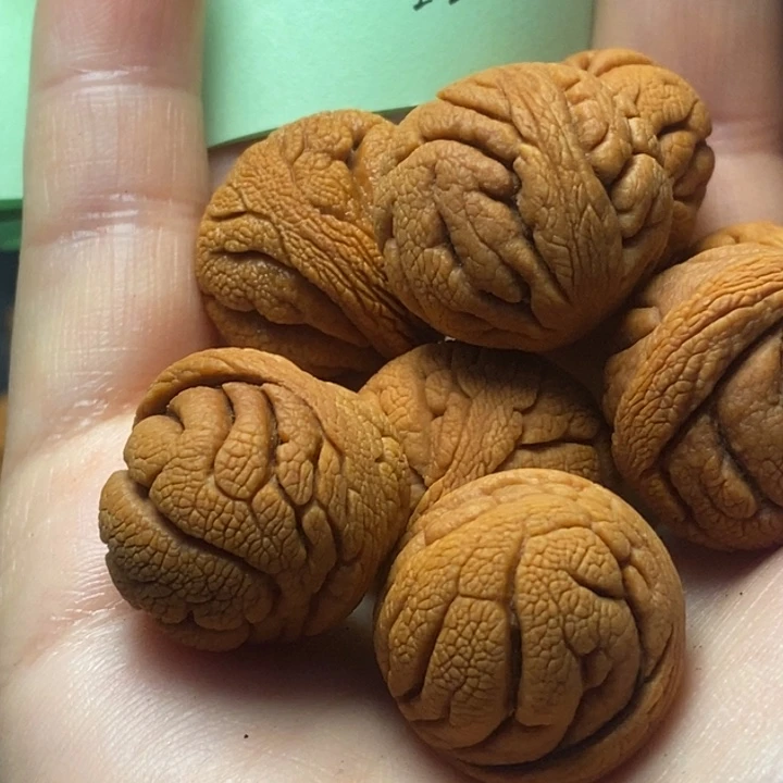 吊坠桃核秦岭山野生桃核