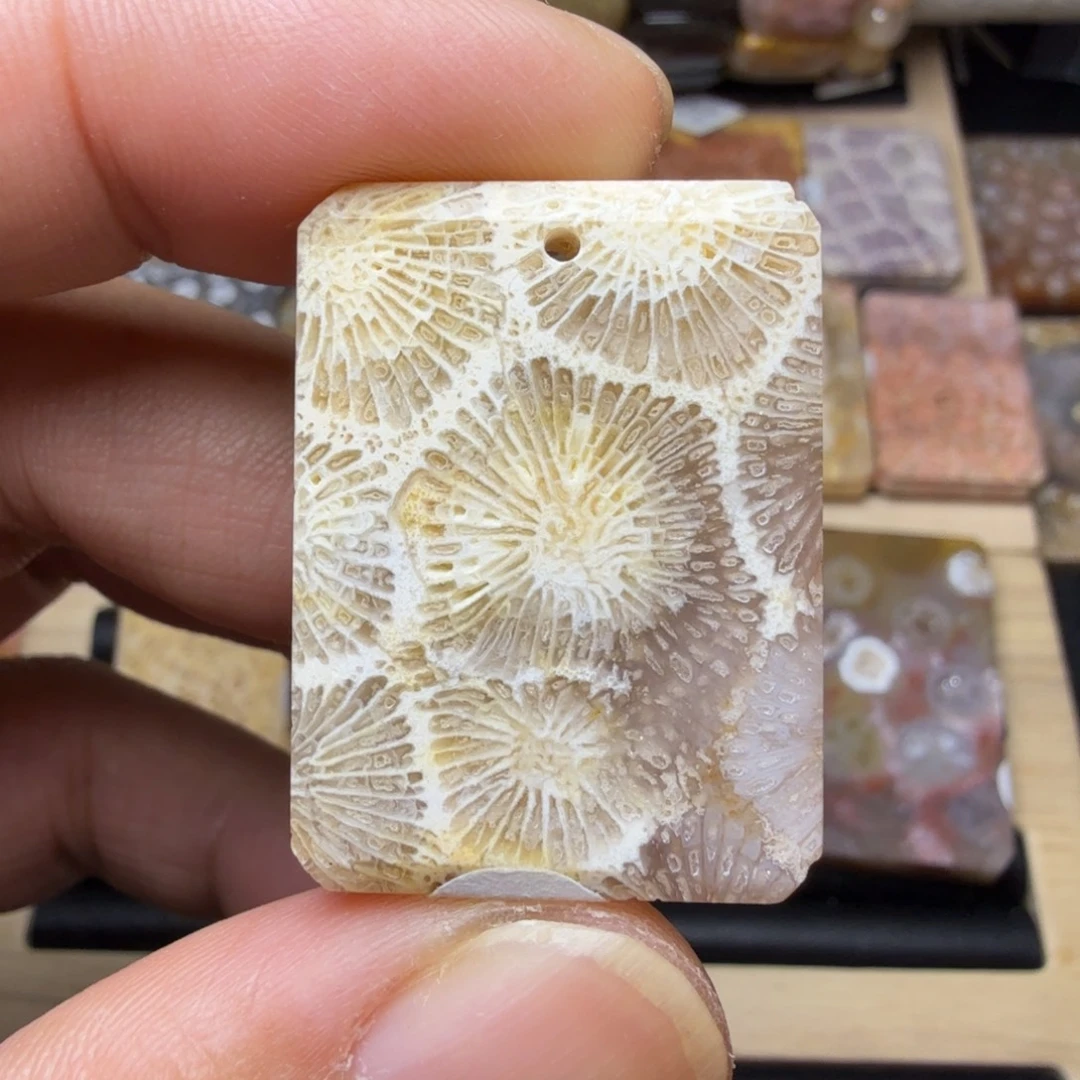 硅化玉未镶嵌纯天然色有机玉石保真色