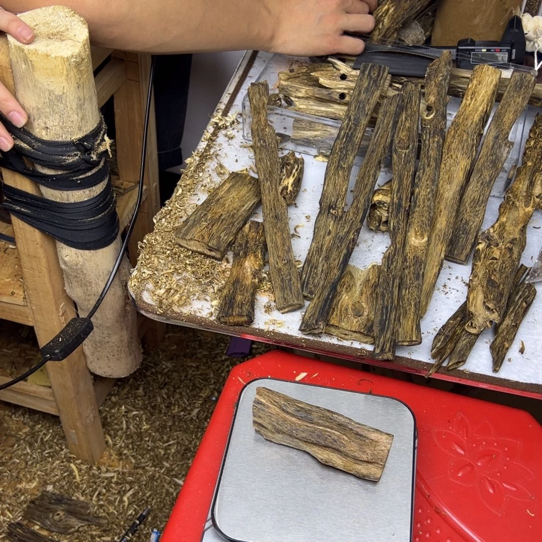 线香奇楠虫漏香45克