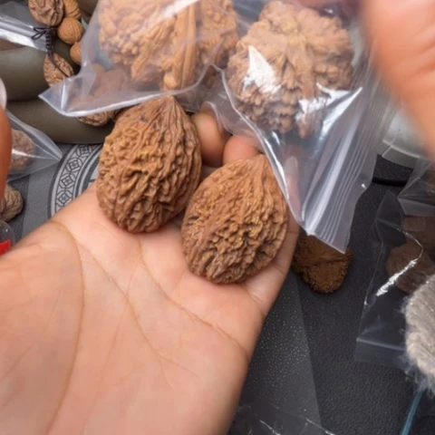 把件文玩核桃蒜头，送白狮子