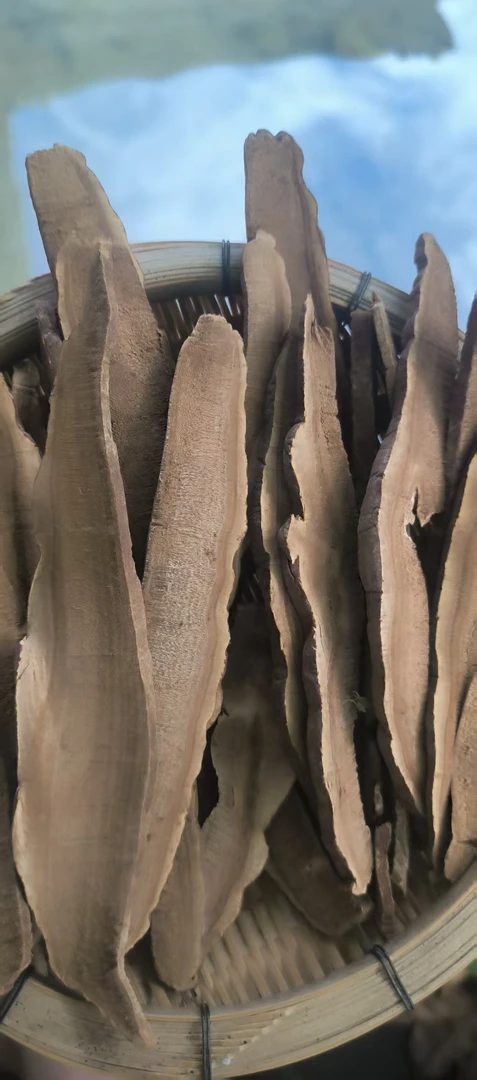 【小张助农山货】现收土特产~灵芝片100克