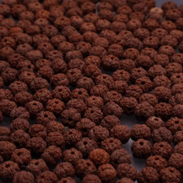 小金刚菩提手持通用直播间专项链接