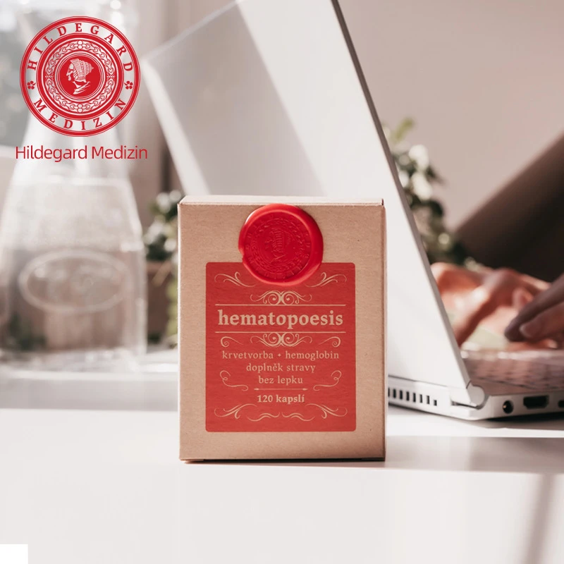 捷克希尔德加德补铁胶囊120粒 提高造血力 儿童成人