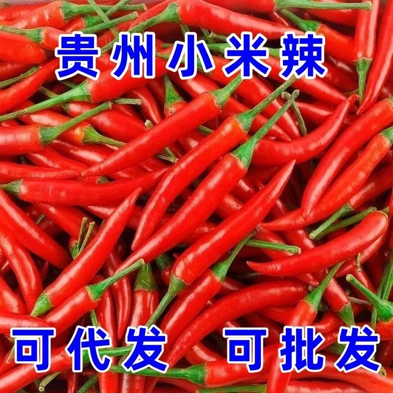 贵州小米辣新鲜现摘辣椒特辣朝天椒农业自种小尖椒