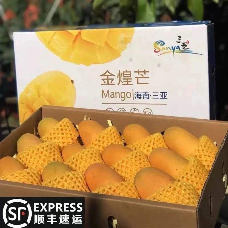 （顺丰礼盒）8斤净重新鲜海南老树金煌芒香甜细腻软糯无丝