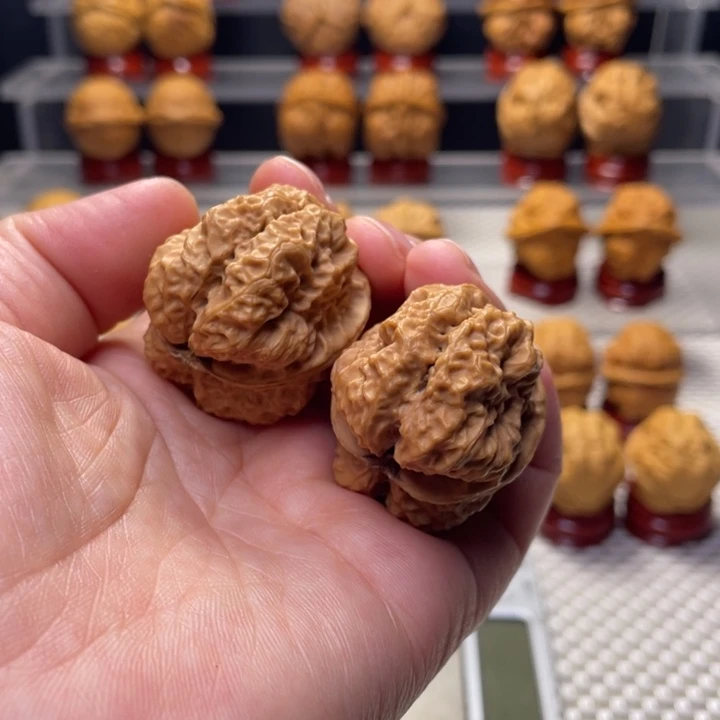 文玩核桃把件32小帝王蟾