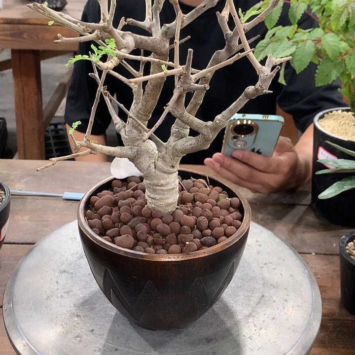 尼勒达哈哈哈哈哈我