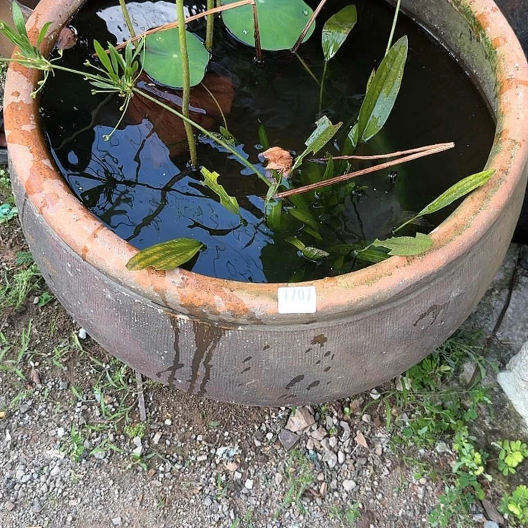 【闪购商品】陶瓷天*建1707
