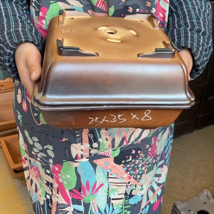 紫砂花盆只顾看剧