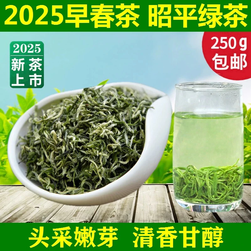 2025年早春茶绿茶头采嫩芽叶广西昭平绿茶250克 明前毛尖散装茶叶