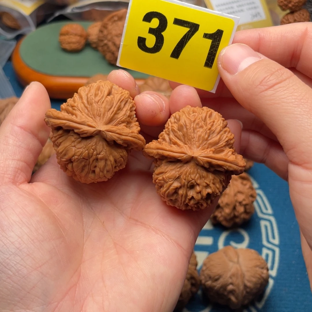 文玩核桃把件41全品白狮子的371号