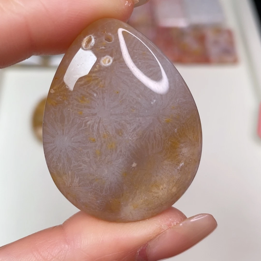 【闪购商品】未镶嵌吊坠(赠链)硅化玉
