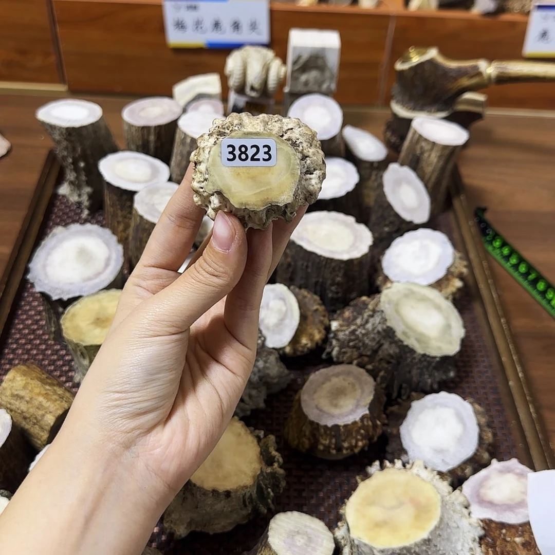 手串/手链鹿骨3823角帽