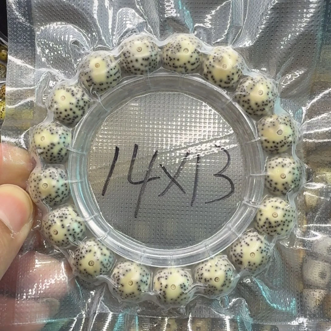大***形星月菩提手串巨无霸头条侧留白黄金瞳14/13