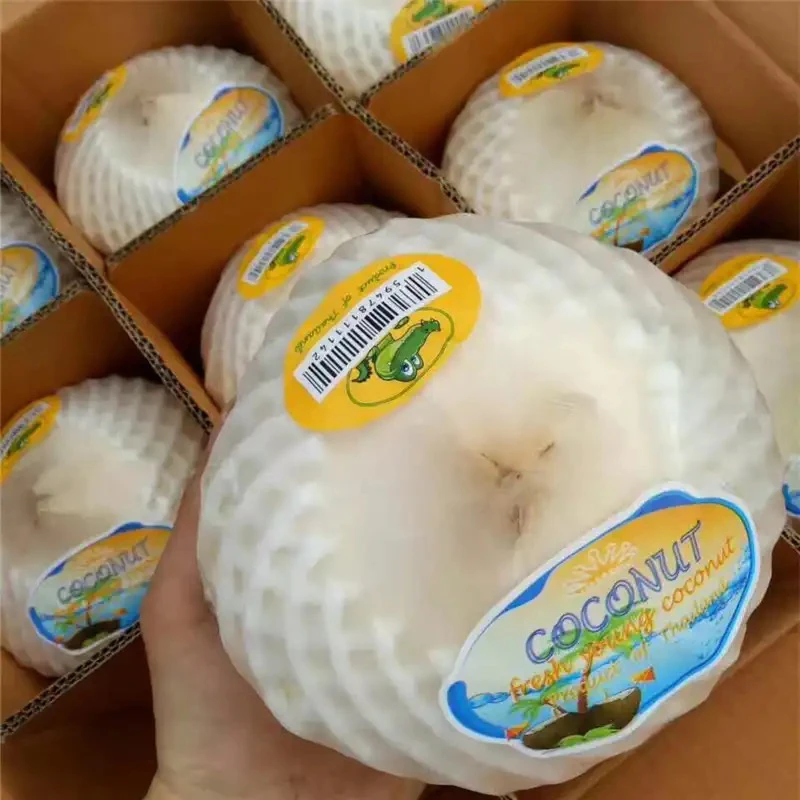 3颗约6斤泰国小鳄鱼香水椰青顺丰包邮