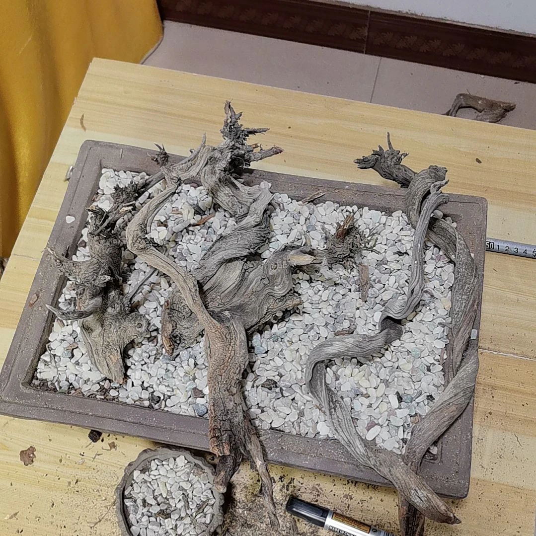 檀香紫檀（小叶紫檀）往**烟