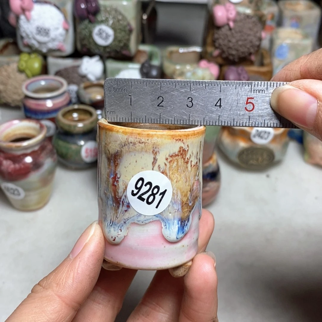 拍5送一个小礼物