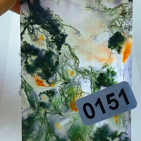 未镶嵌颈饰玛瑙/玉髓鸟*