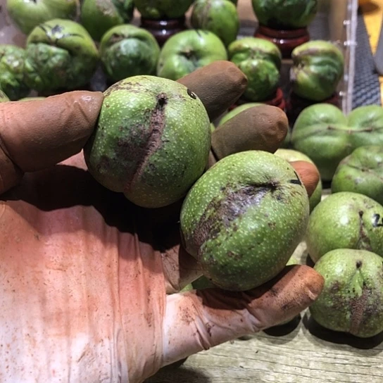 ^***^桃核吊坠核桃核桃