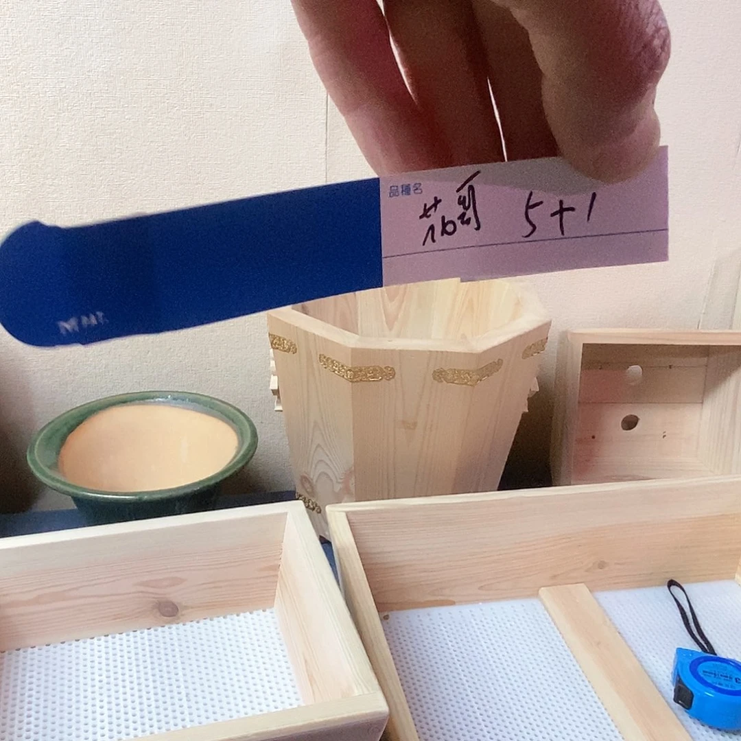 盆景4个木盆包邮到家护***者