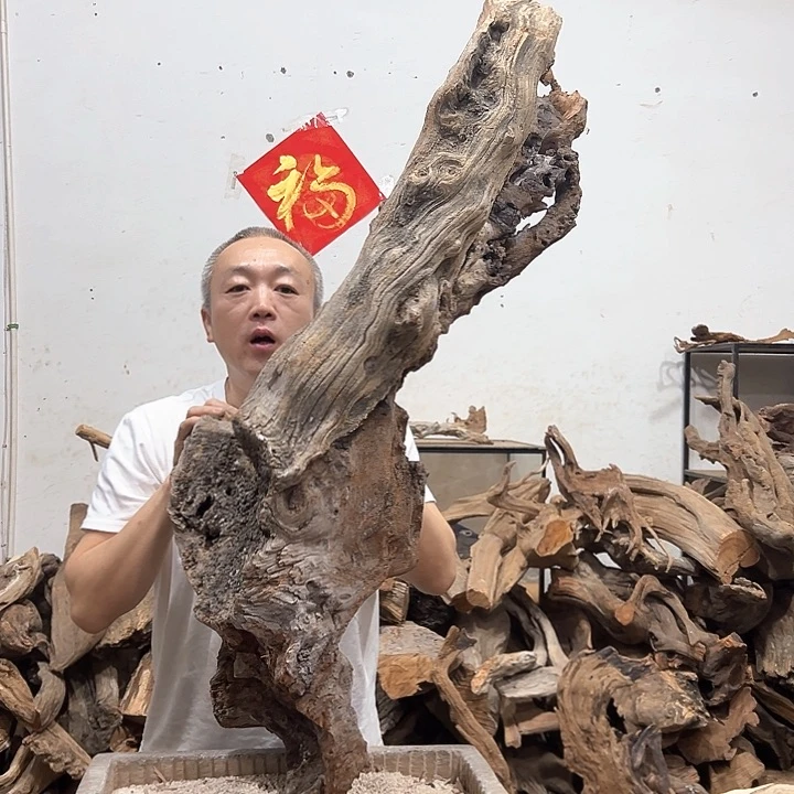 柏木叶****室我们的生活也是如此的丰富多彩啊