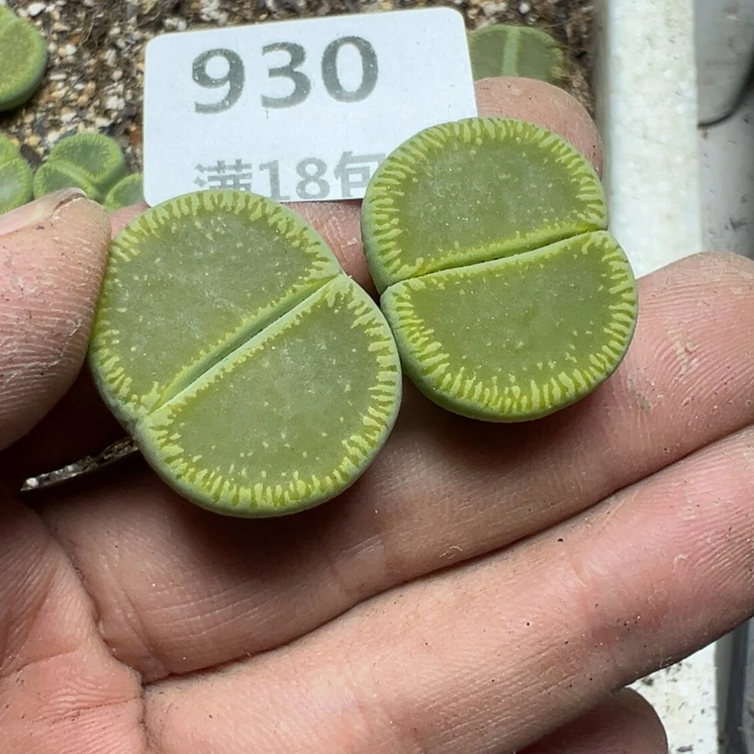 【闪购商品】 930。