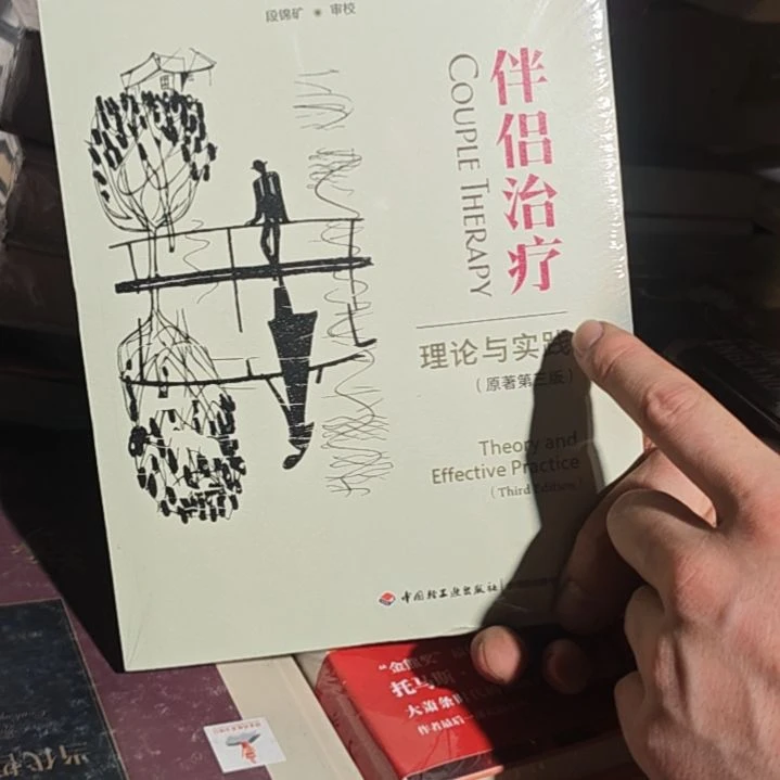 伴侣治疗平装库存书全新