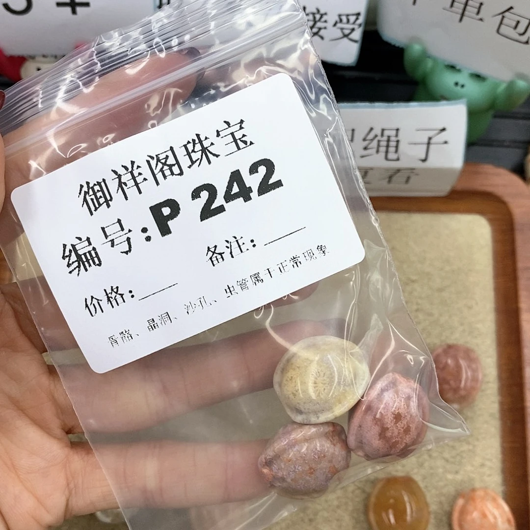 硅化珊瑚（珊瑚玉）P未镶嵌R****～