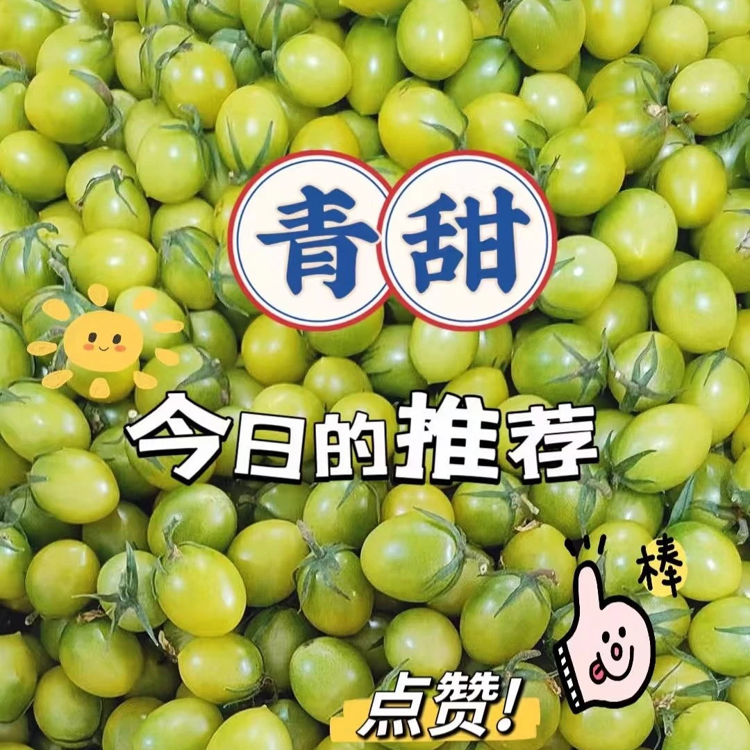 翡翠柿子一盒一斤番茄同城送