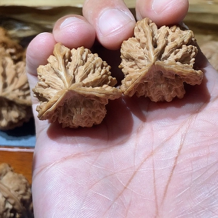 36边37高全品盘山