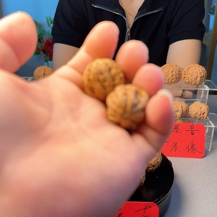 ****光核桃霸王龙小手捻