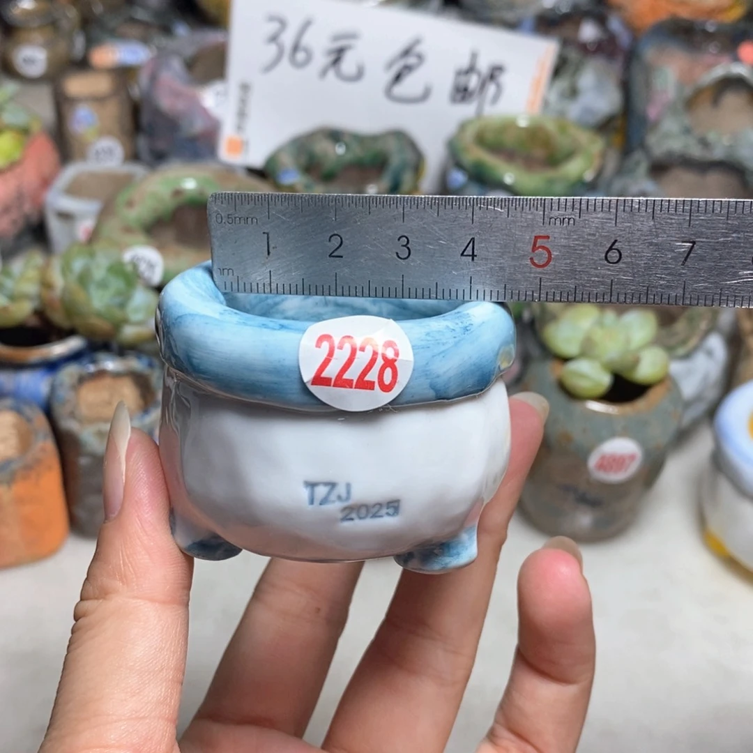 拍3送一个小礼物