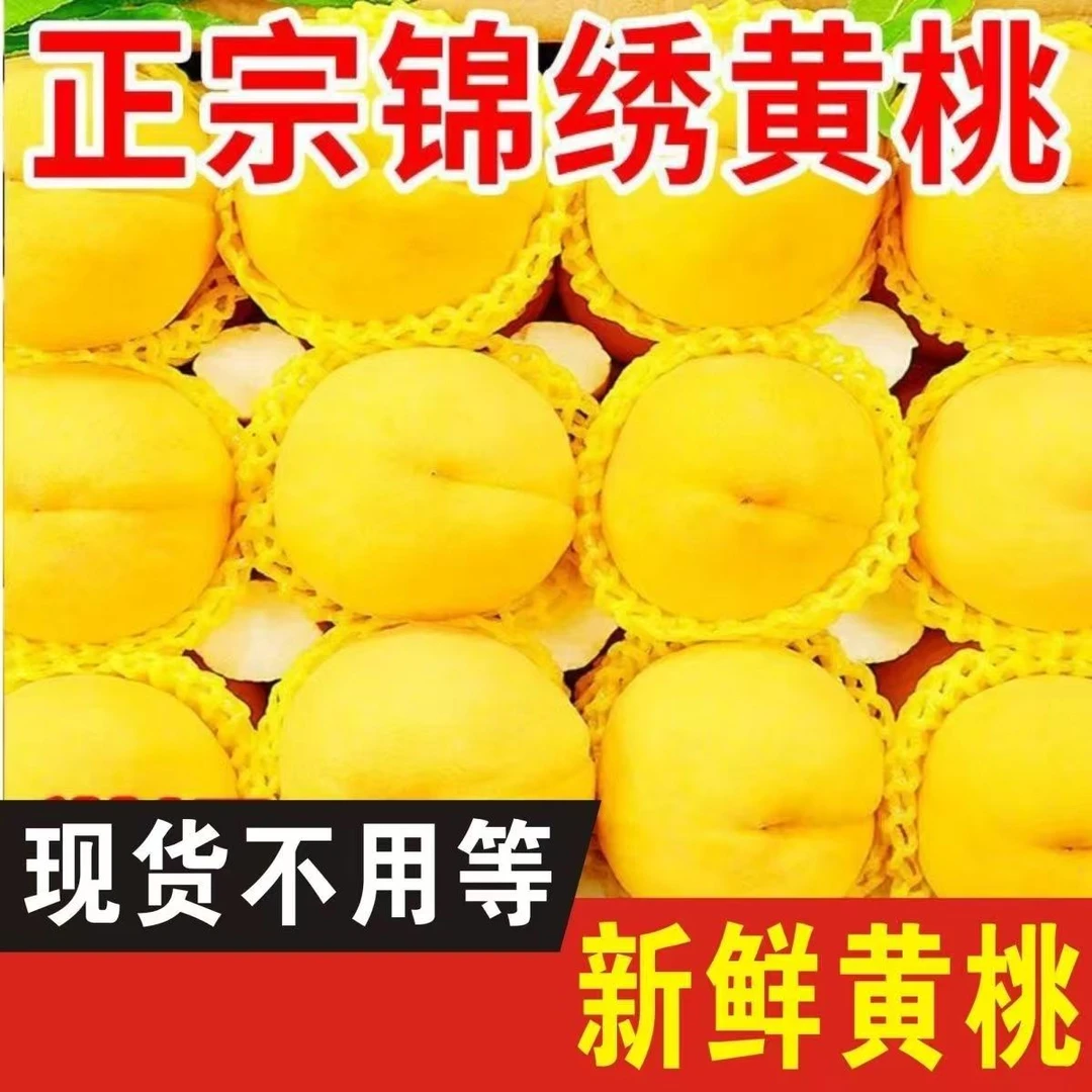 正宗锦绣大黄桃黄桃新鲜现摘当季水果香甜多汁御