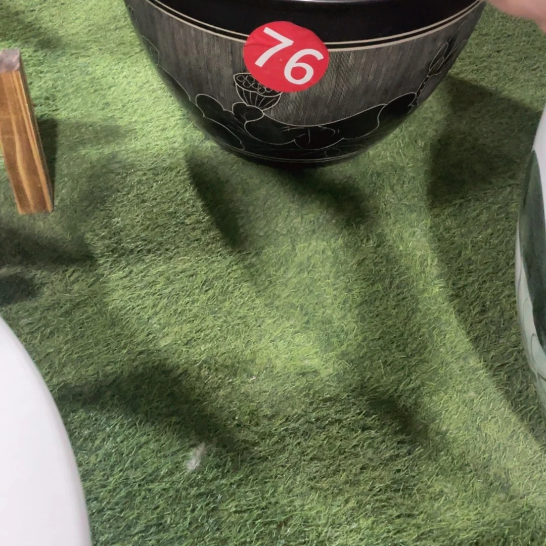 浪***祥景德镇陶瓷学院等多