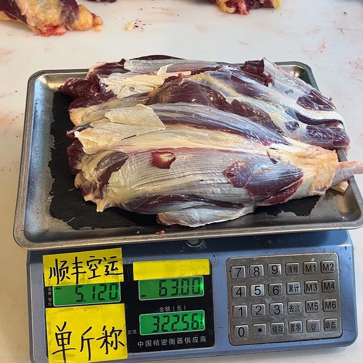 18包装安哥拉阳*