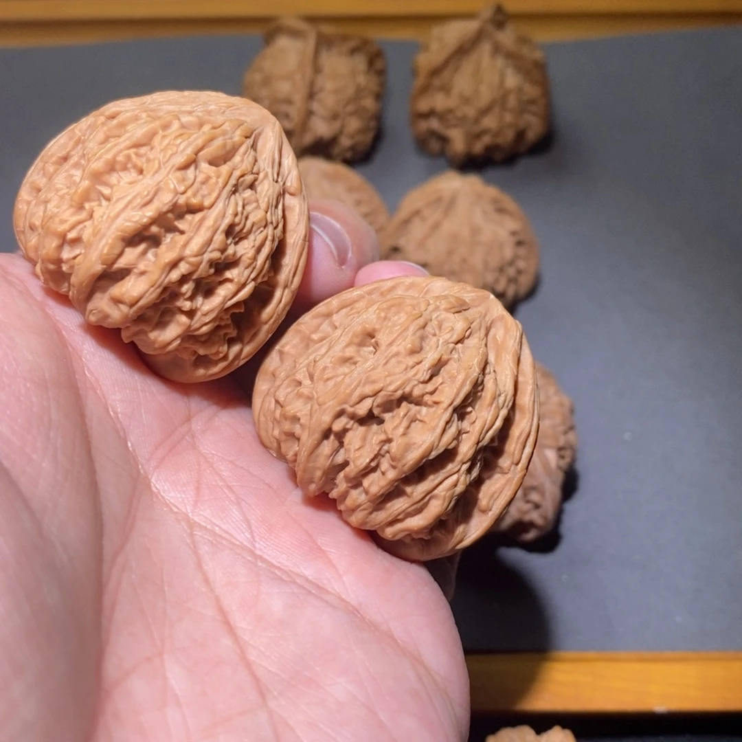 木质38山西密文全品