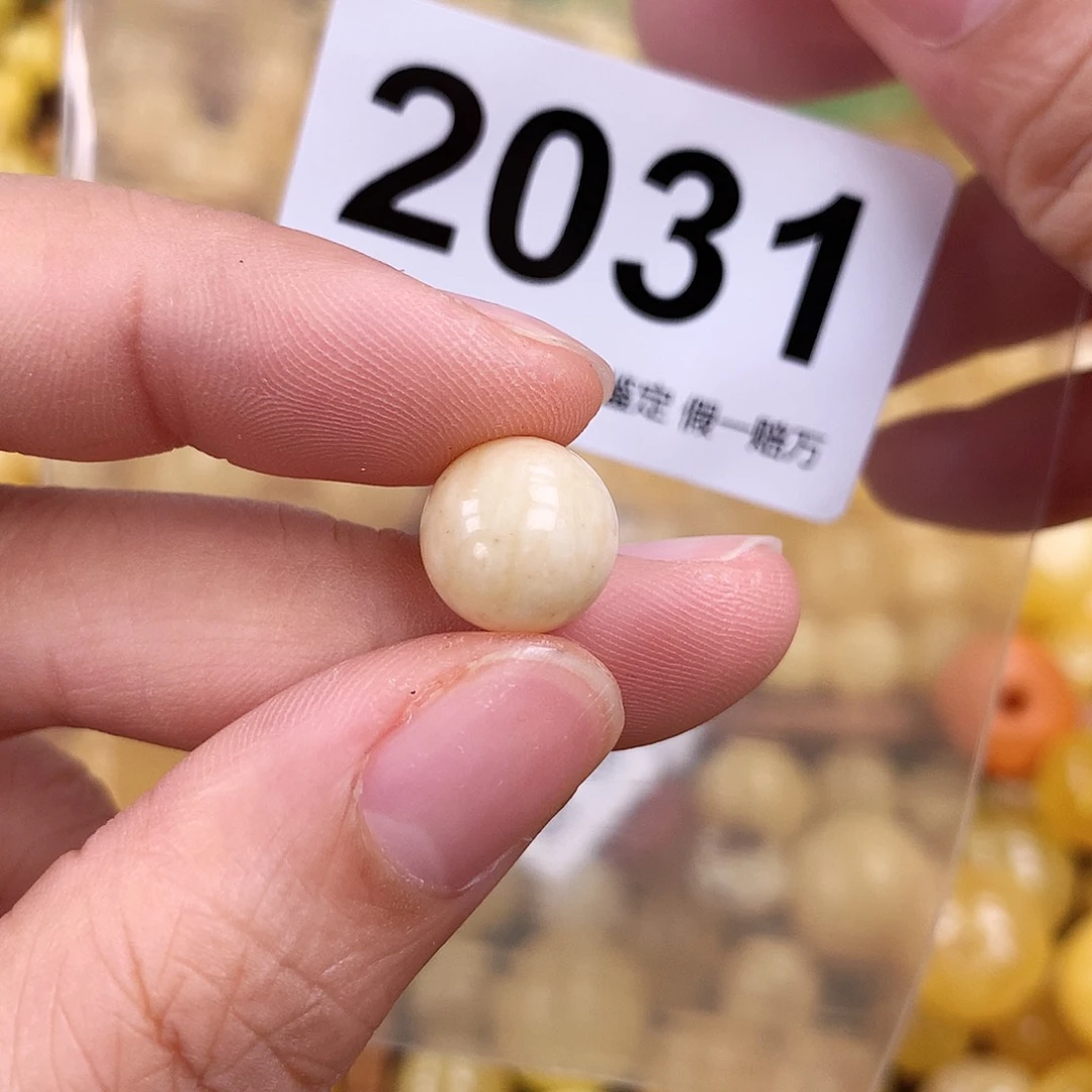 未镶嵌蜜蜡珠宝奇石11.2