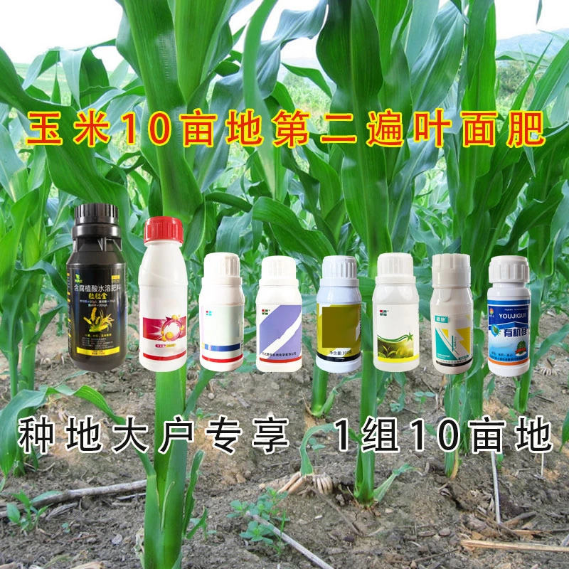 玉米第二遍6-10叶期10亩地叶面肥方案