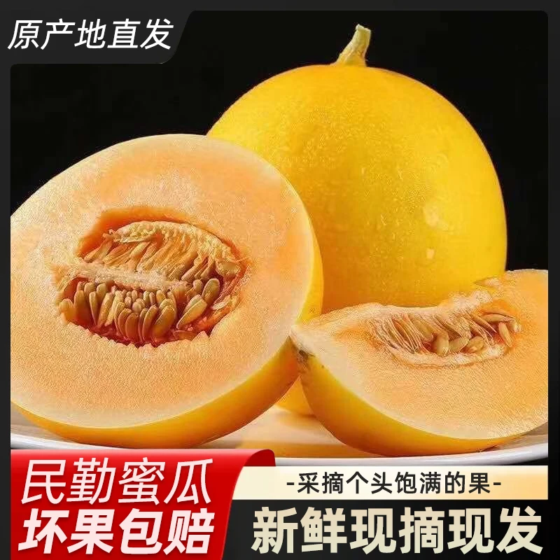 【荣予】甘肃民勤沙漠蜜瓜金红宝黄金蜜瓜带箱7-8斤  2个装