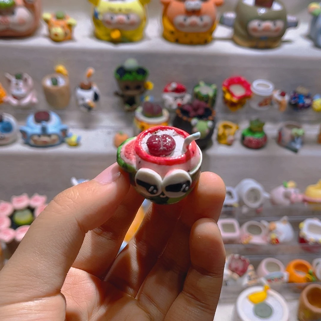 007高端多肉带盆土一套26