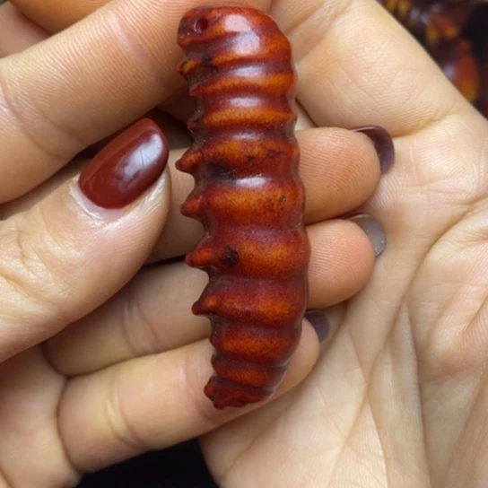 和田玉（糖玉）挂件未镶嵌大**7