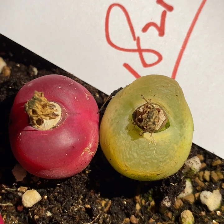 18210一组一组一组